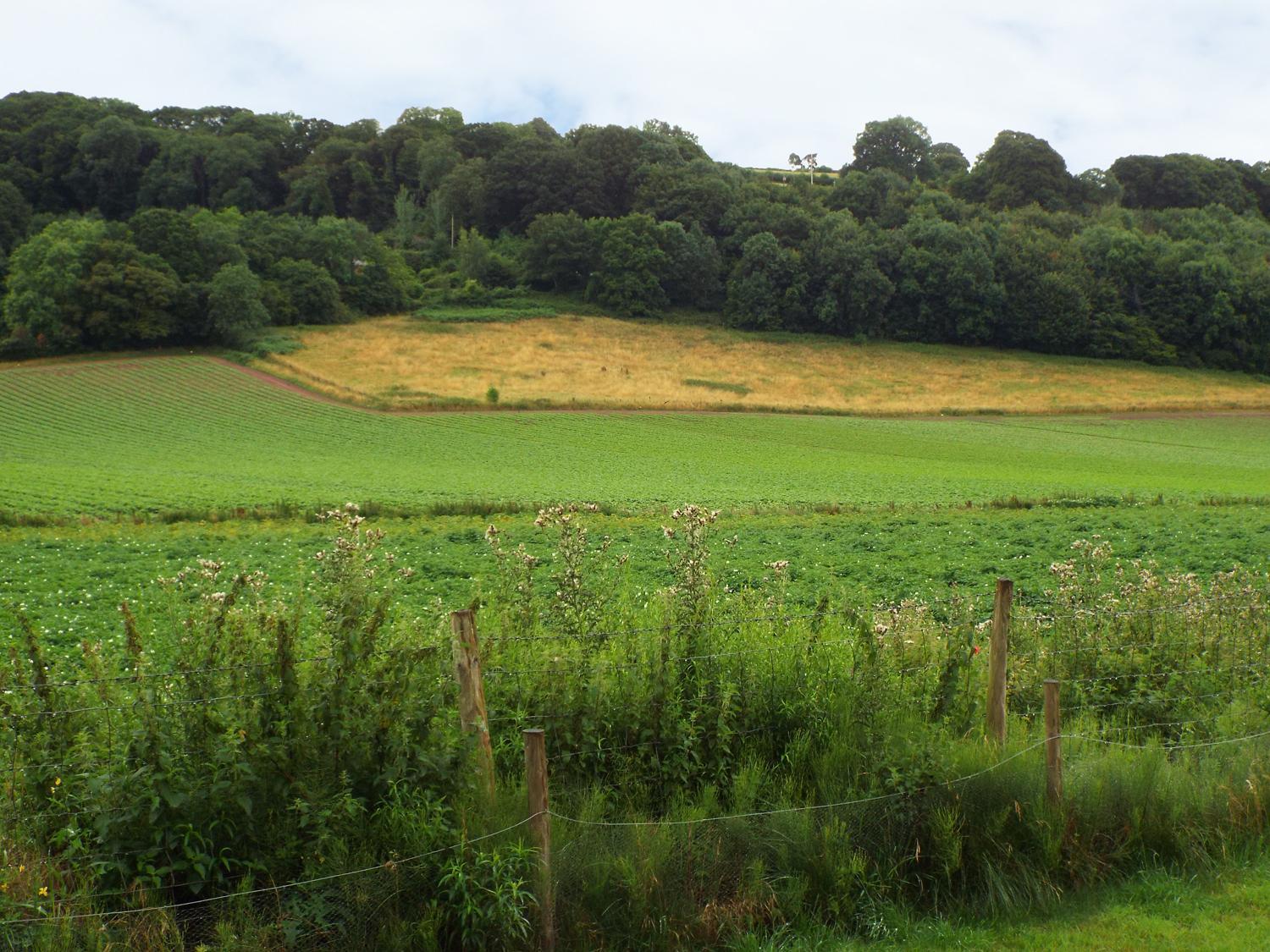 הוילה Ross-on-Wye The Granary מראה חיצוני תמונה
